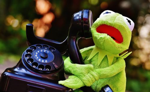 kermit frog phone