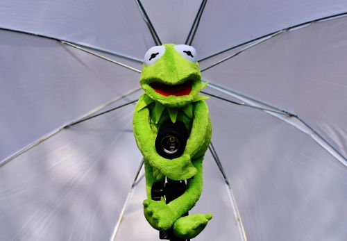 kermit photo screen frog