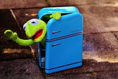 kermit frog refrigerator