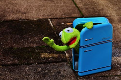 kermit frog refrigerator