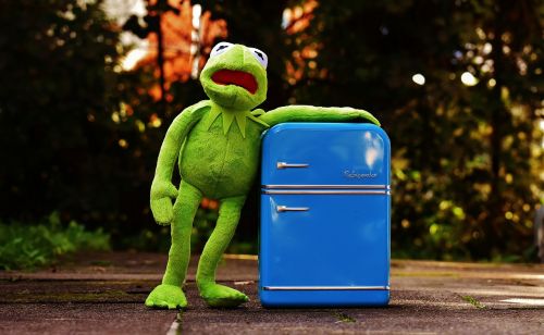 kermit frog refrigerator