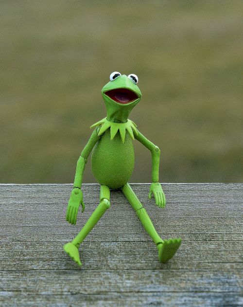 kermit frog muppet