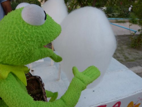 kermit frog cotton candy