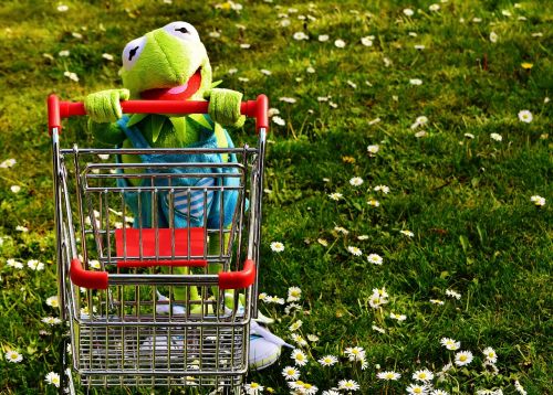 kermit frog shopping