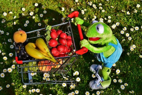 kermit shopping cart healthy shopping