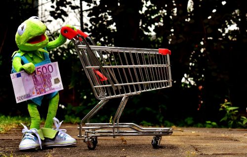kermit shopping cart shopping