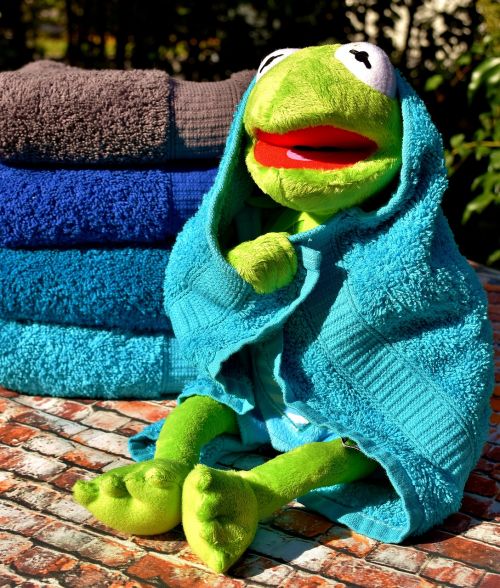 kermit towels blue