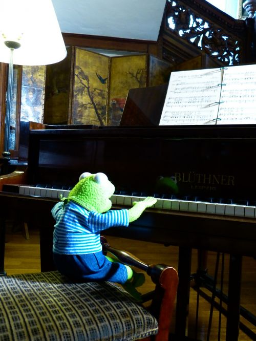 kermit frog piano