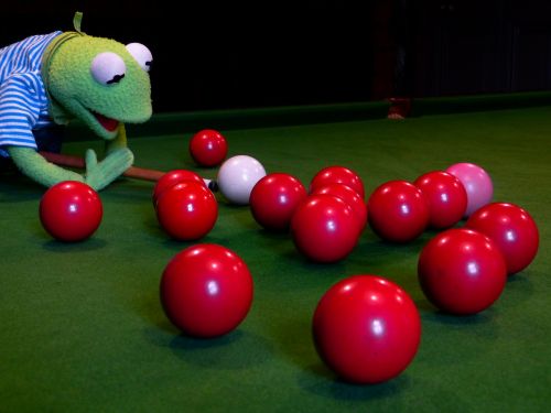 kermit frog billiards