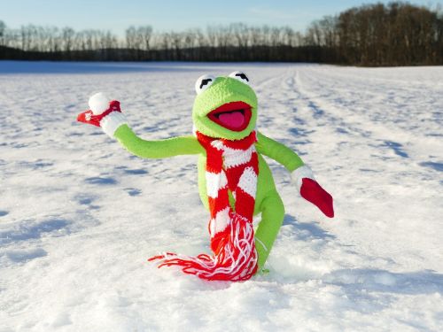 kermit frog snow ball