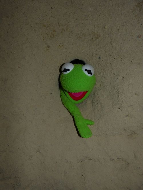 kermit frog green