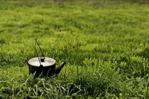 kettle outside grass