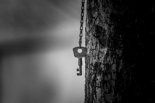 key  tree  metal