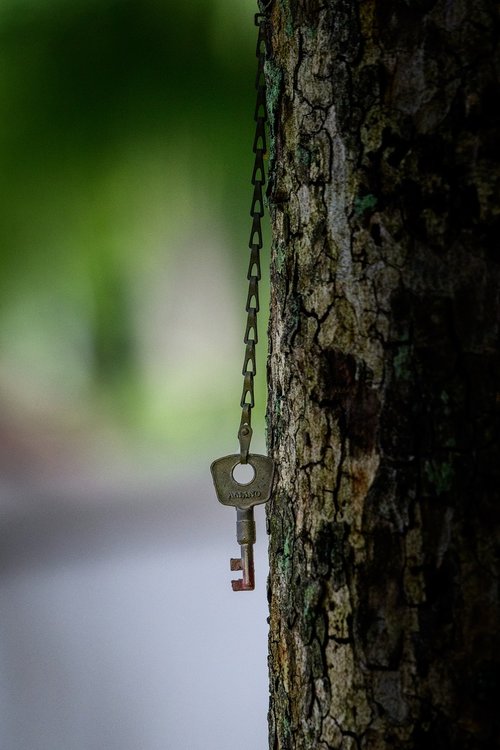key  tree  chain
