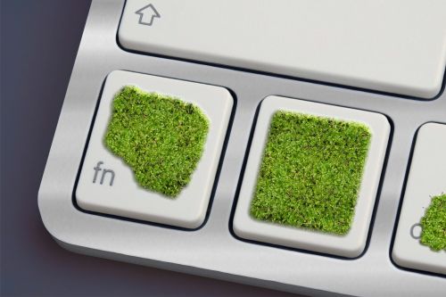 keyboard moss green