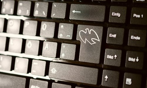 keyboard  computer  peace dove