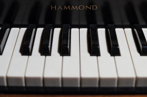 keys  piano  organ