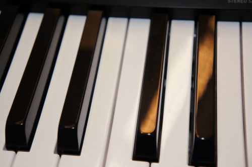 keys keyboard piano
