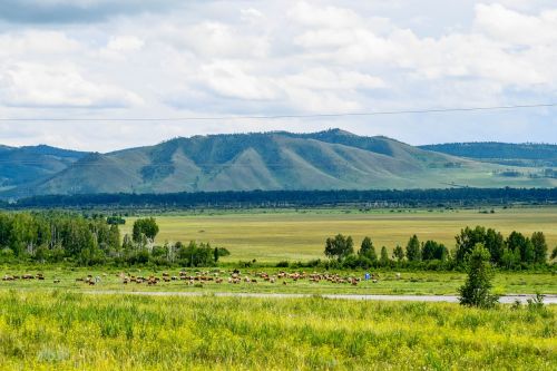 khakatsia nature landscape