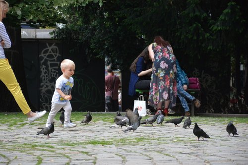 kid  playing  pigeon