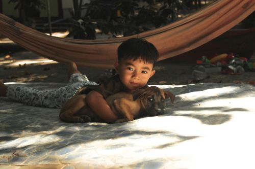 kid dog thailand