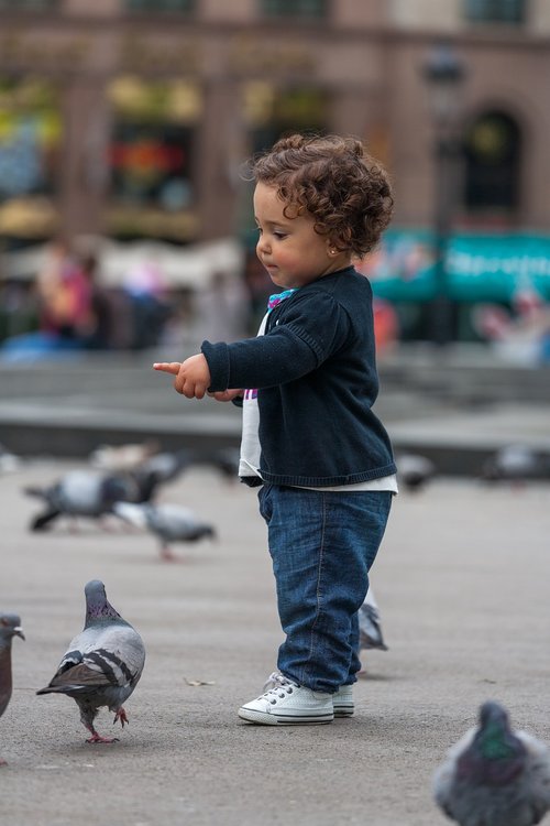 kids  baby  pigeons