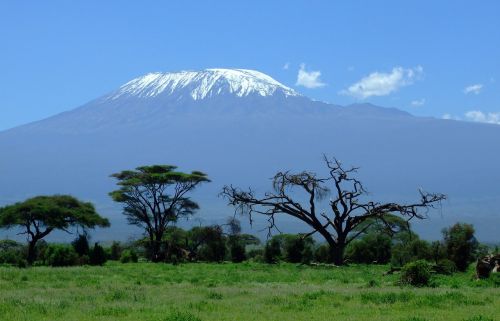 kilimanjaro kenya mountain