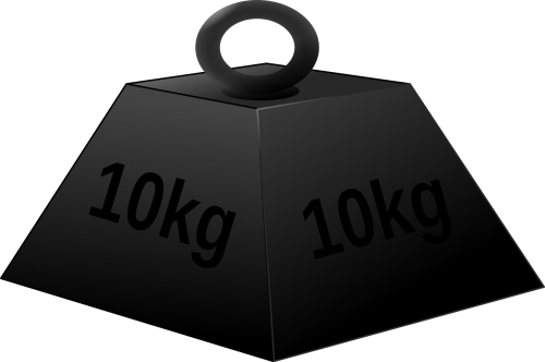 kilogram mass weight