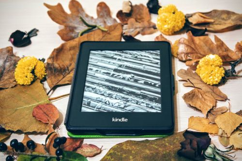 kindle pepper white reading