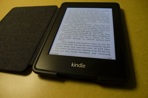 kindle e-reader e-book