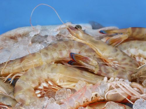 king prawns fresh fish mediterranean diet
