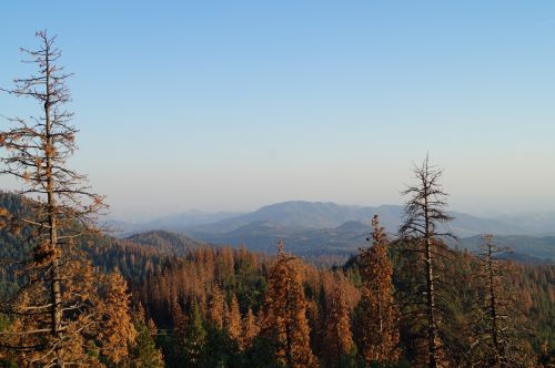 kings canyon california national park