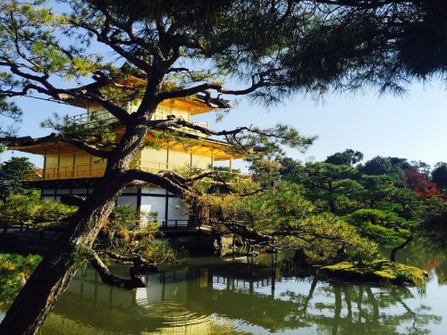 kinkaku ji kyoto japan