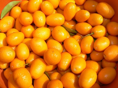 kinotos fruit citrus