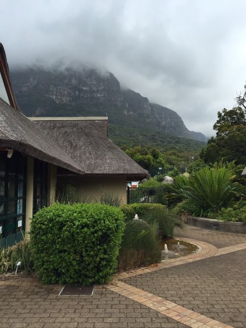 kirstenbosch gardens ca