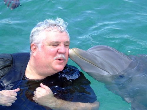 kiss dolphin water