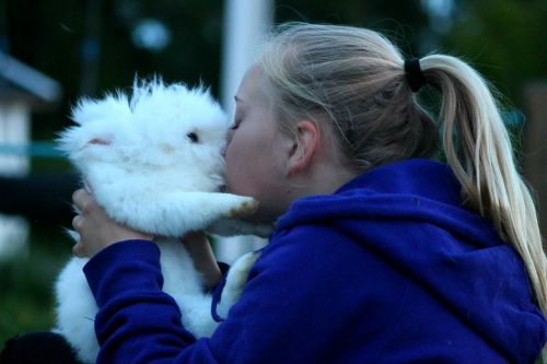 kiss rabbit white
