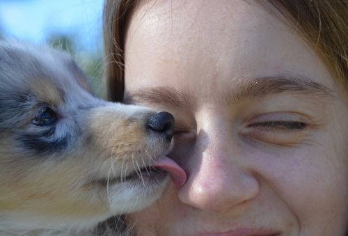 kiss dog woman