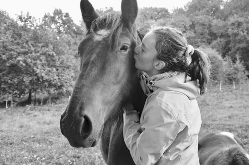 kiss kisses horse