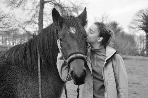 kisses kiss young girl horse