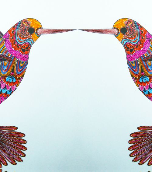 Kissing Hummingbirds
