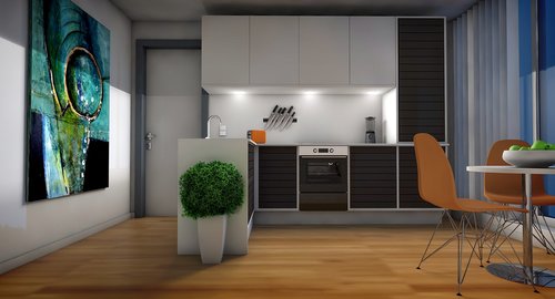 kitchen  living room  apartment