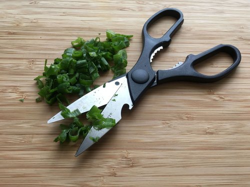 kitchen scissors  metal  cut