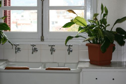kitchen sink cranes white