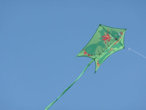 kite flying kite outdoor