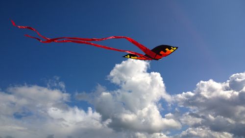 kite red black