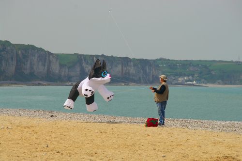 kite beach cat