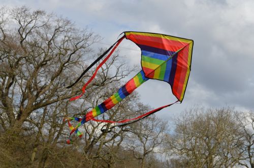 kite tail trees