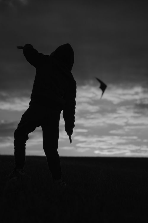 kite sunset evening sky