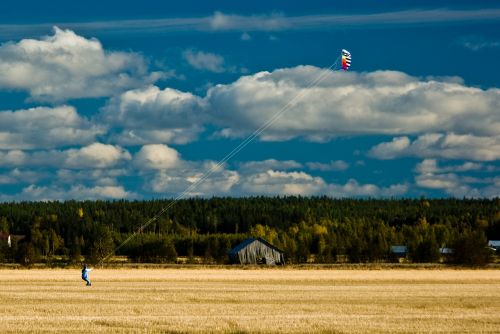 kite field fly